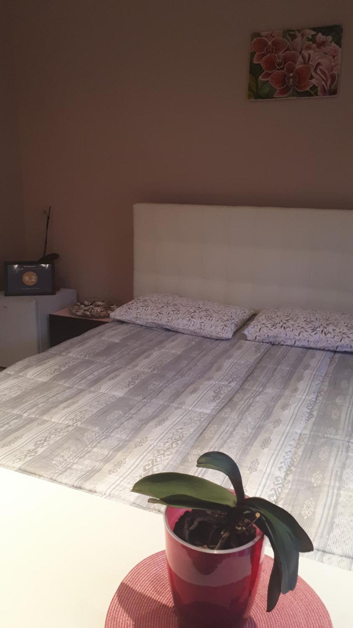 Casa Delle Orchidee Hotel Alba  Værelse billede